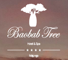 Baobab Tree Hotel & Spa