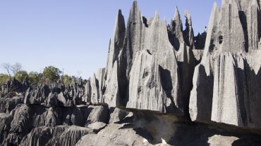 agence de voyage à madagascar, Pourquoi Choisir une Agence de Voyage à Madagascar ?, bookmada, Madagascar