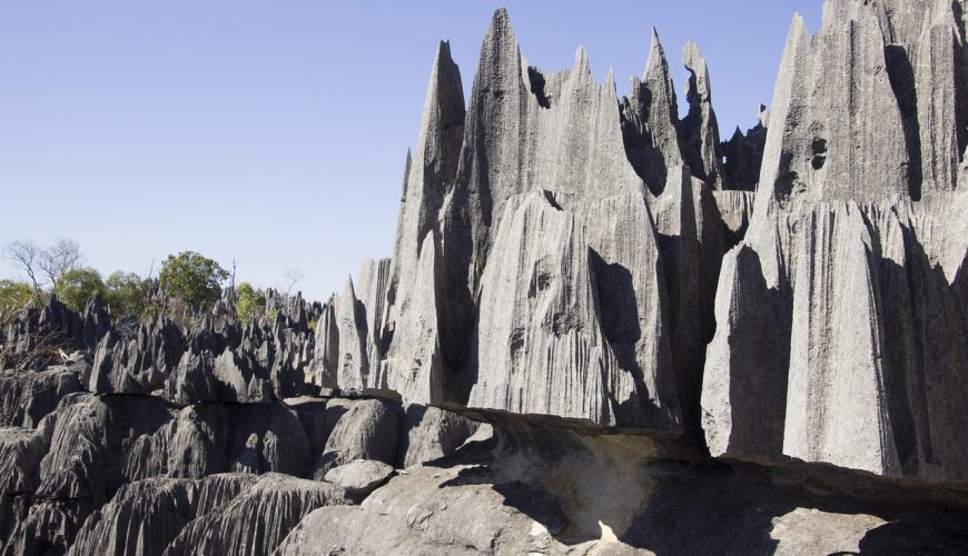 agence de voyage à madagascar, Pourquoi Choisir une Agence de Voyage à Madagascar ?, bookmada, Madagascar