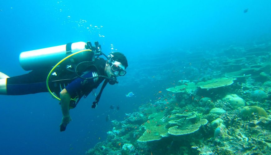 plongée à nosy be, Pourquoi choisir la plongée à Nosy Be pour voyager?, bookmada, Madagascar